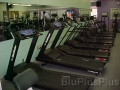 Treadmills * 640 x 480 * (136KB)